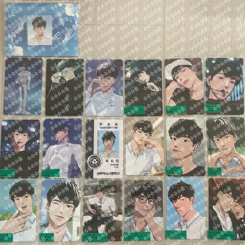 플레이브 하민 포토카드 51장+애니플러스 증사 일괄