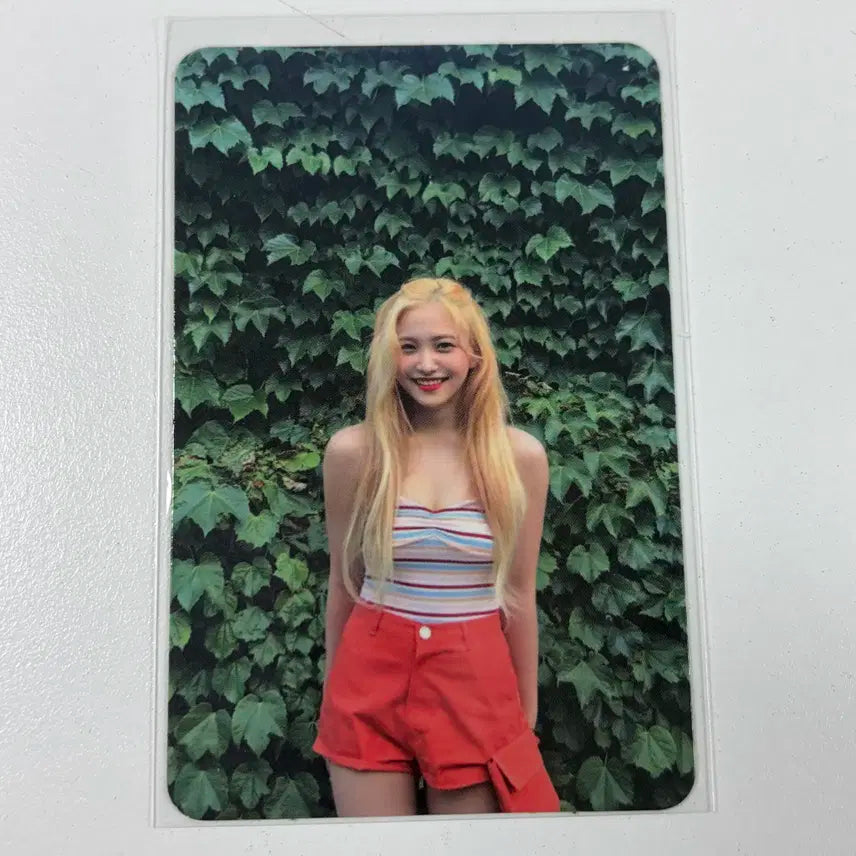 레드벨벳 예리 더레드썸머 빨간맛 앨범 포카 포토카드
