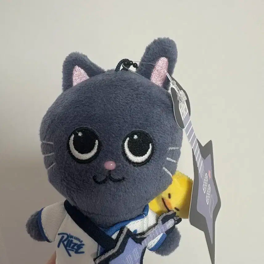 리라즈 팝업 토냥덕 양도 라이즈 원빈