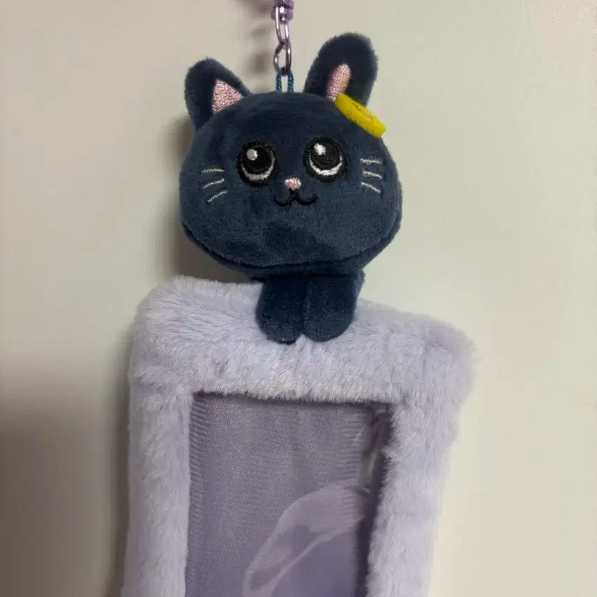 리라즈 팝업 토냥덕 포카홀더 라이즈 원빈