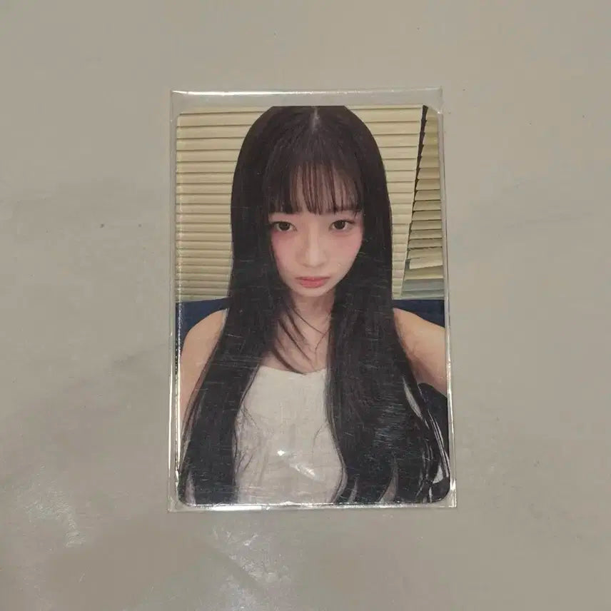 아이브 레이 콘서트 다이브존 3일차 포카