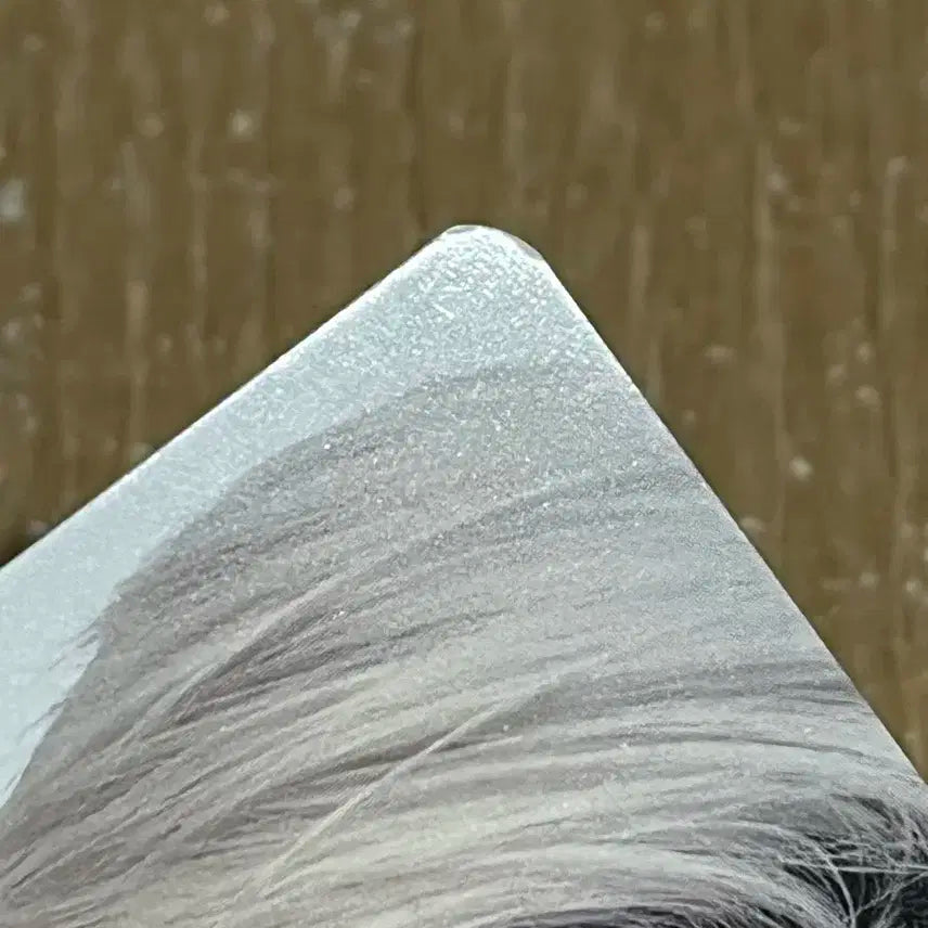 엔시티 위시 컬러 디어마이뮤즈 럭드 럭키드로우 시온 포카 양도