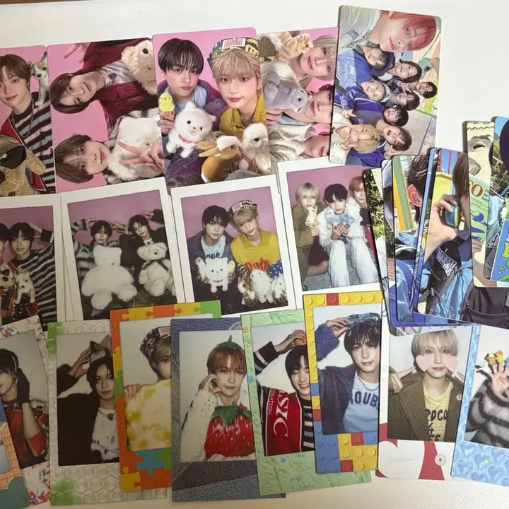 앤팀 시그 포카