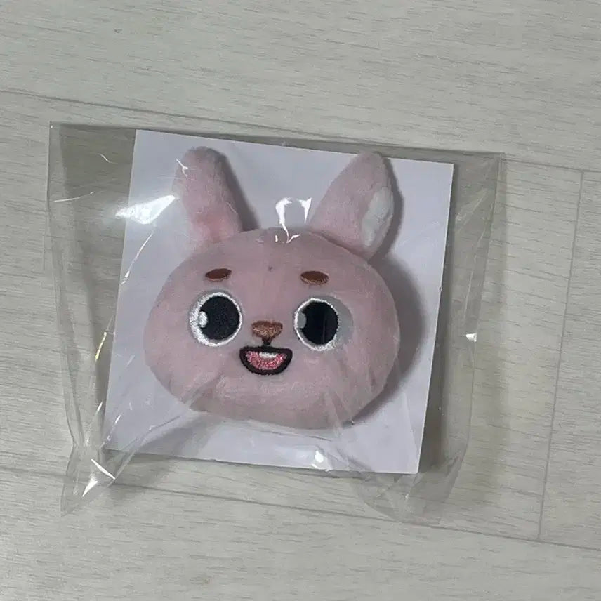 데이식스 데니멀즈 포에버영 일본굿즈 페이스 뱃지