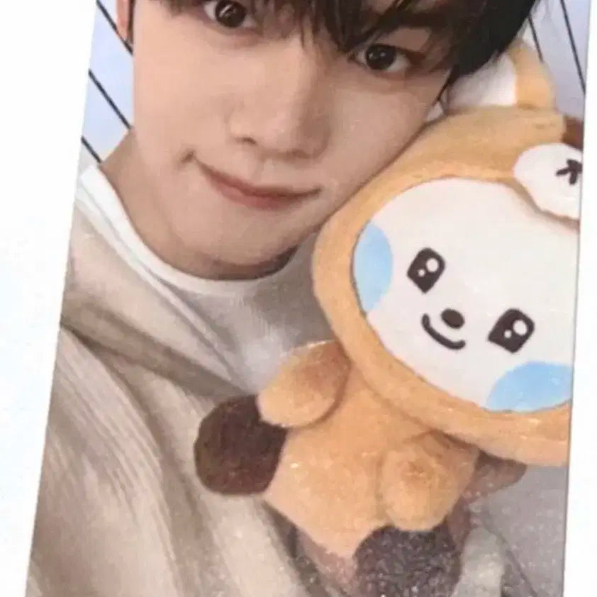 제베원 제로베이스원 제로니 팝업 5만원 포카 김규빈 규니니