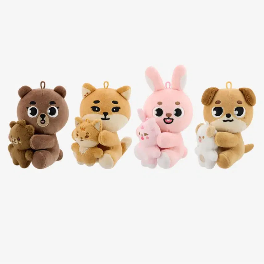 데이식스 플러쉬 세트 돈