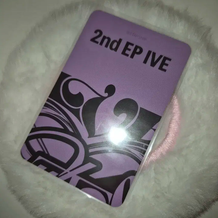 아이브 스위치 가을 포카