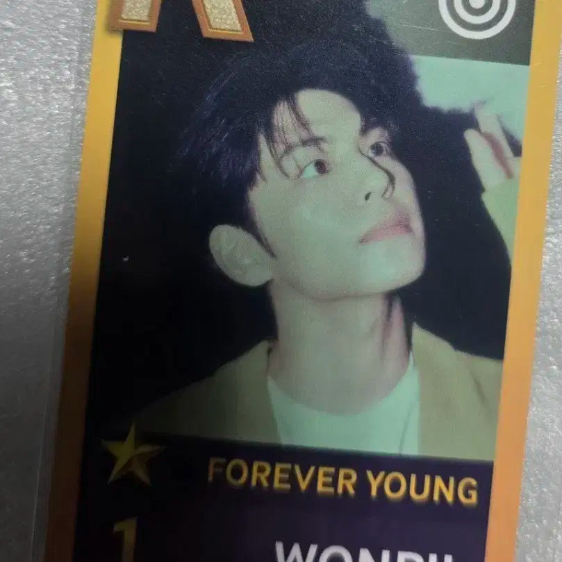 데이식스 원필 슈스제 포에버영 포카