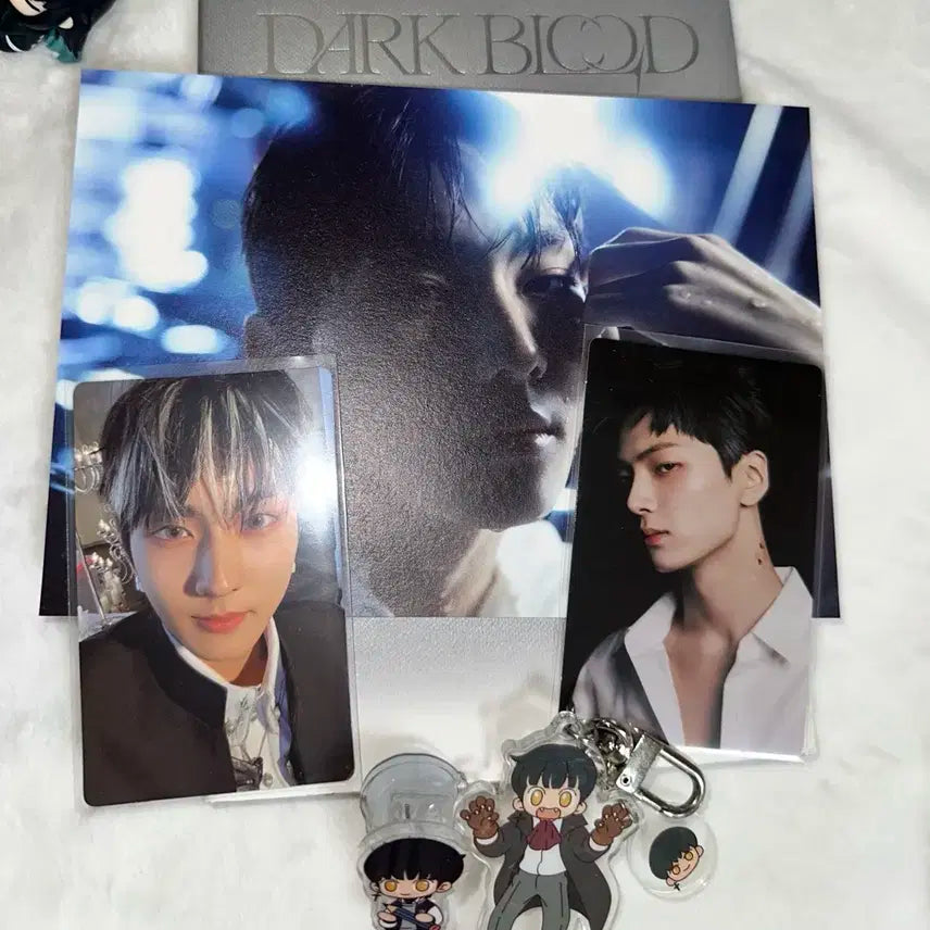 엔하이픈 굿즈 일괄 개봉앨범 포카 아크릴키링집게다크문롯데월드다크블러드