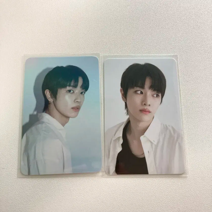 라이즈 성찬 2024 시그