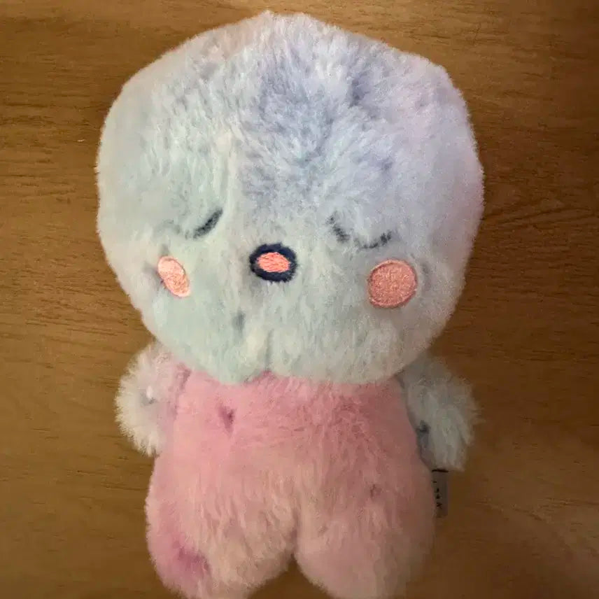 라이즈 미드나잇 미라지 인형 앨범 은석 송용돌이