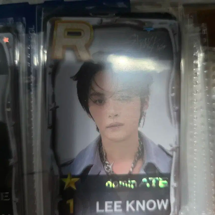 스트레이키즈 리노 슈스제 포토카드