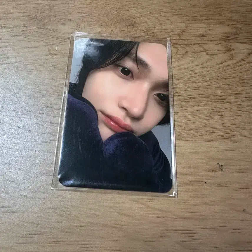 라이즈 원빈 포카