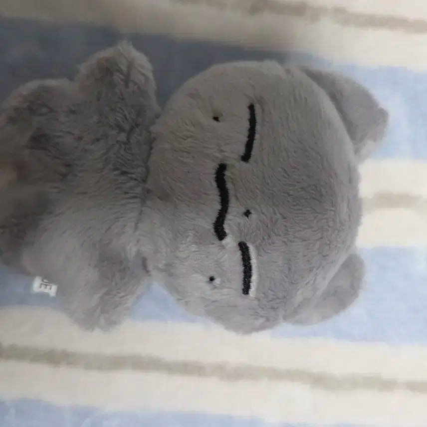 온앤오프 민균 박민균 인형