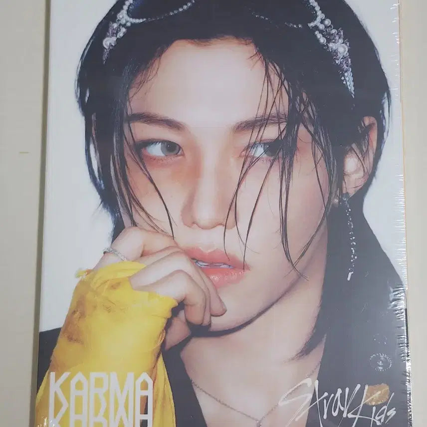 스키즈 카르마 아코디언 미개봉 필릭스