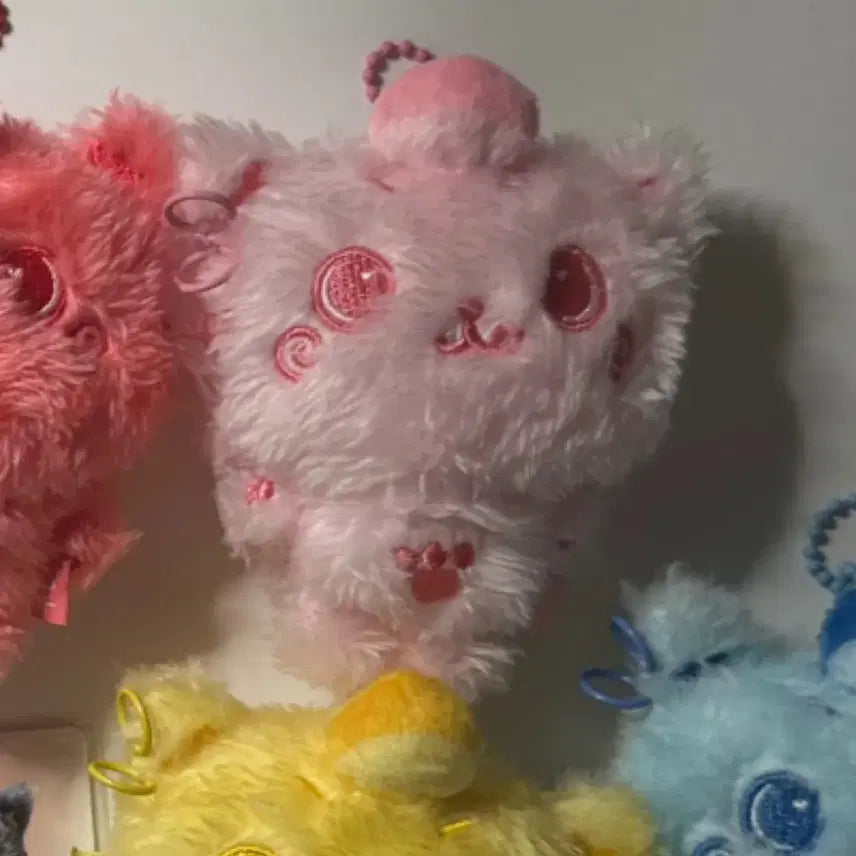 컬러 위시돌 핑크 쿠리