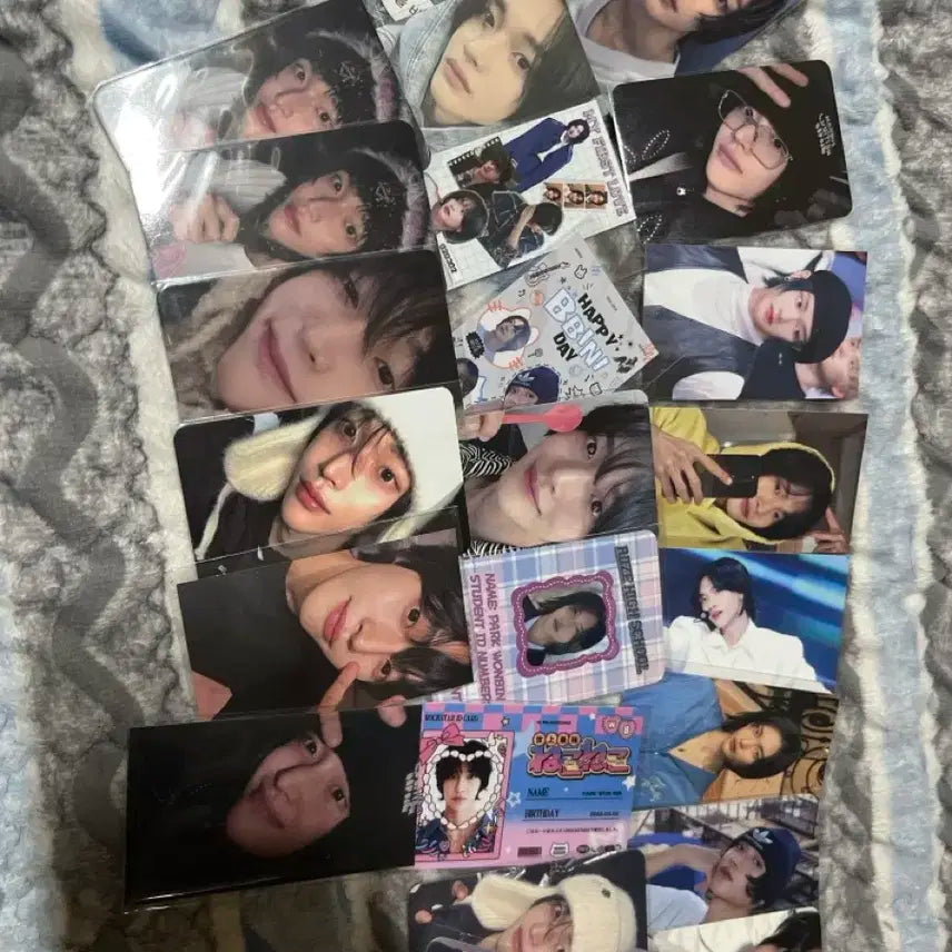 라이즈 원빈 비공굿 포카