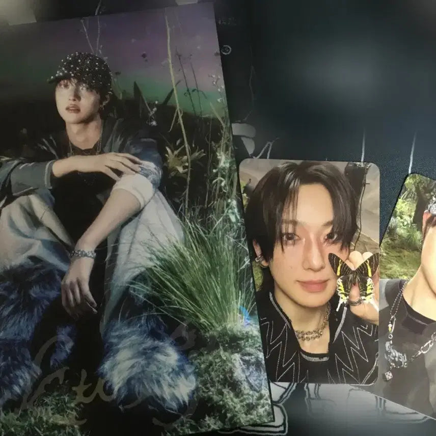 앤팀 백투라 back to life BLT 의주 roar