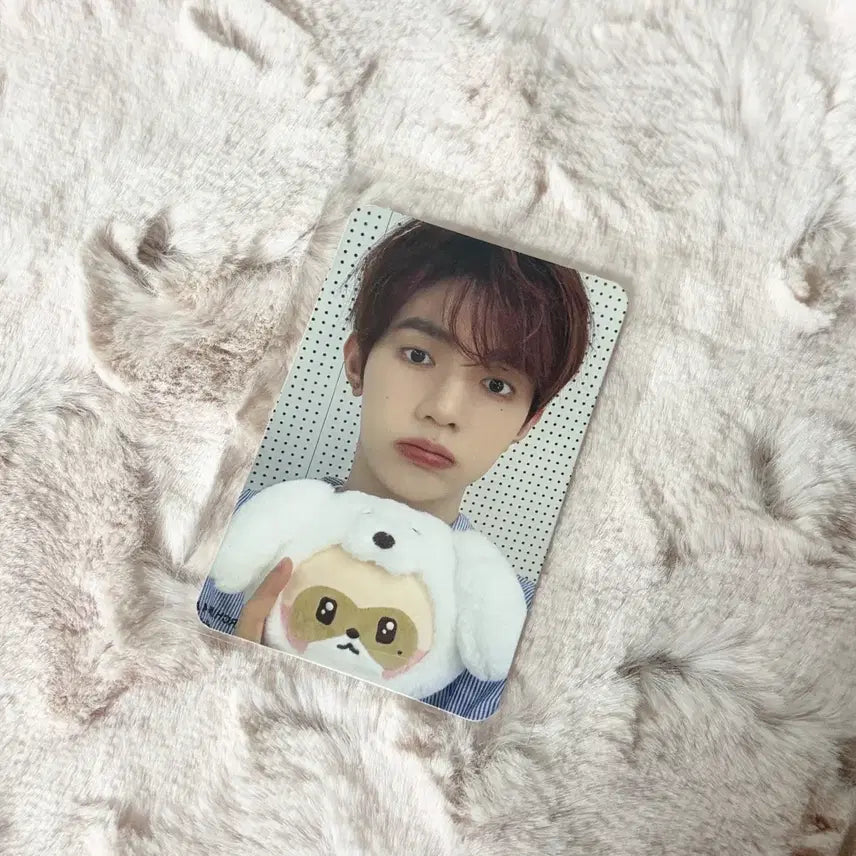 제베원 제로니 팝업 5만원 특전 장하오 하오 포카 하니니