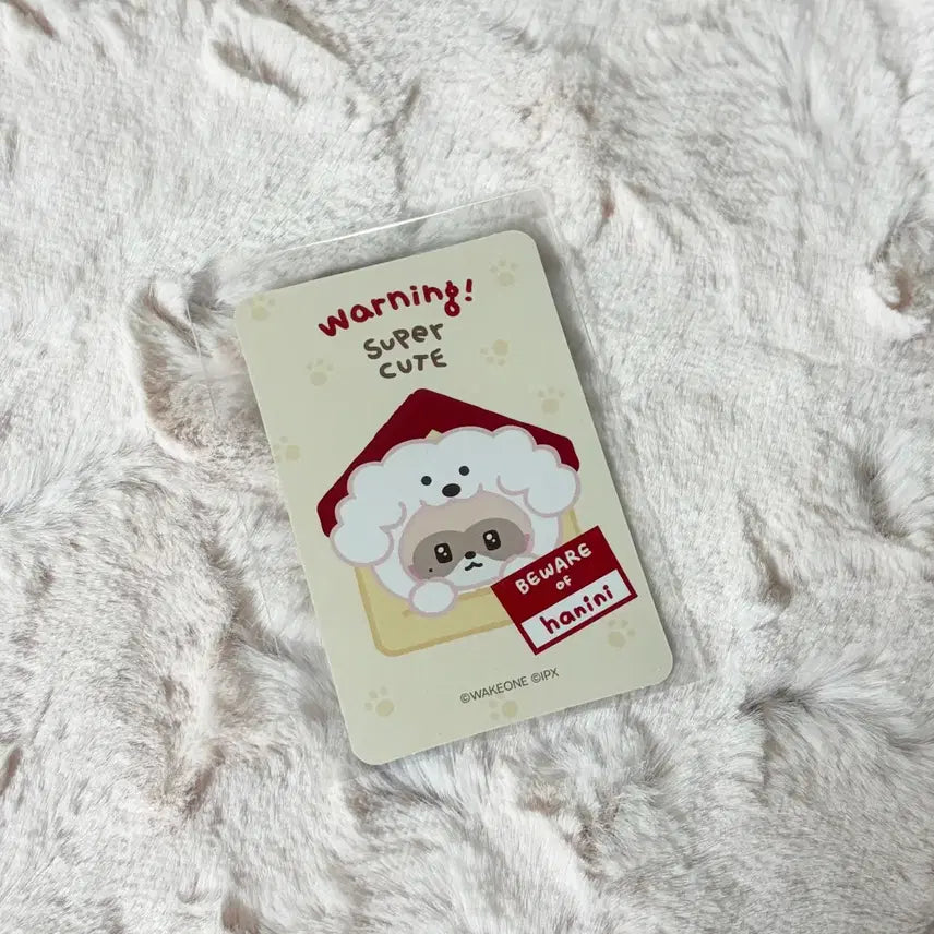 제베원 제로니 팝업 5만원 특전 장하오 하오 포카 하니니