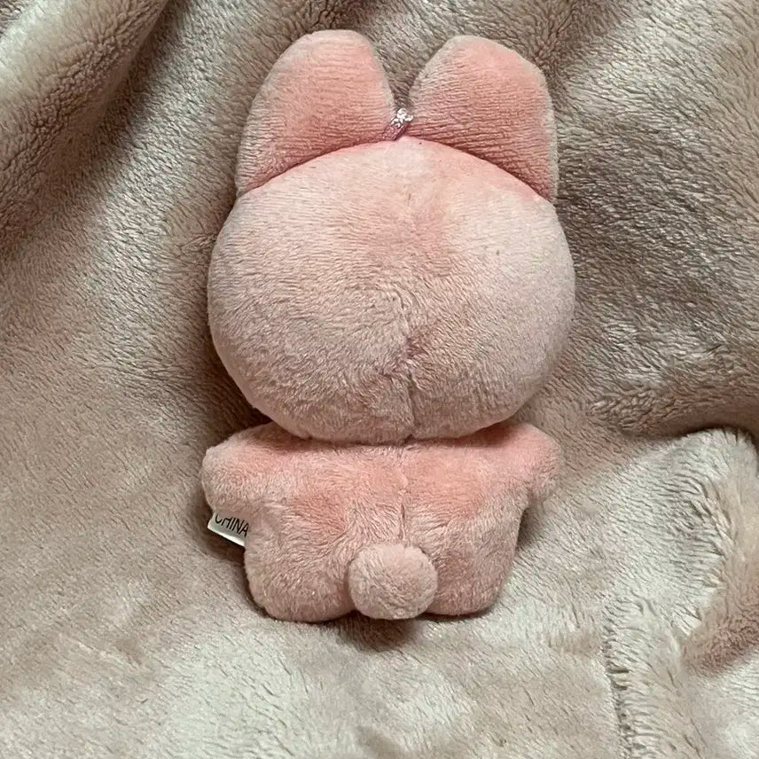 라이즈 원빈 비공식 인형