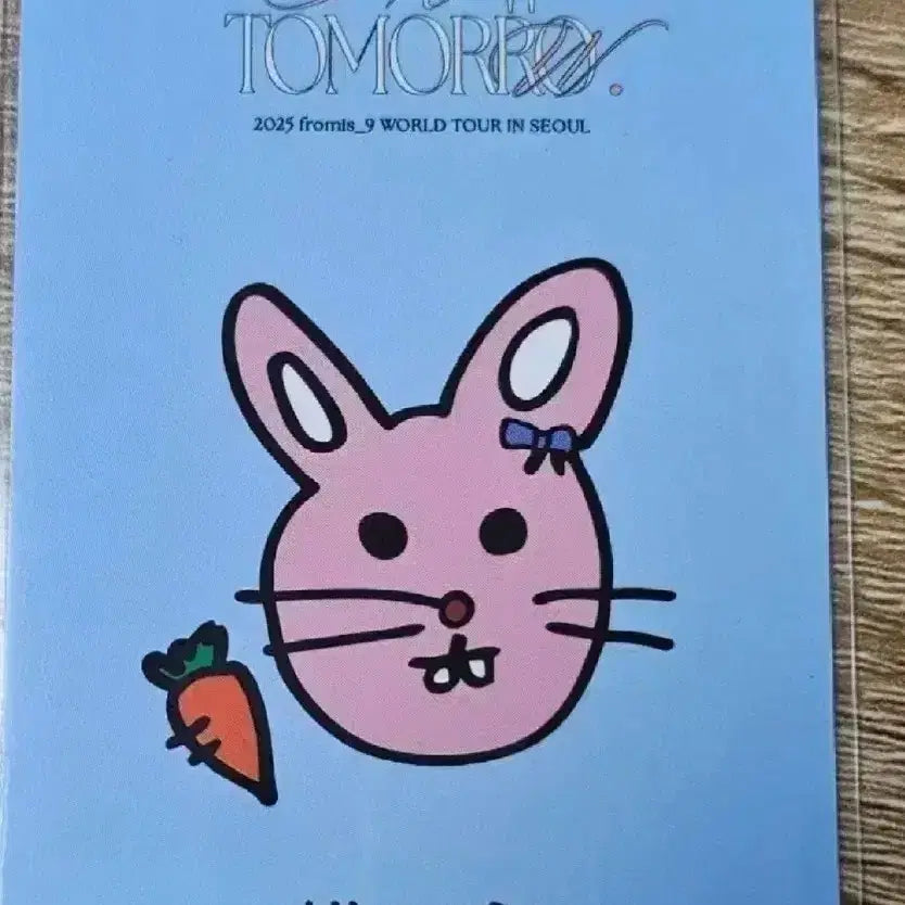 프로미스나인 콘서트 트레이딩 카드 박지원 지원 트레카 포카