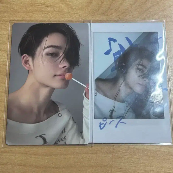 데이드림 재팬 니키 폴라 포카 일괄 양도