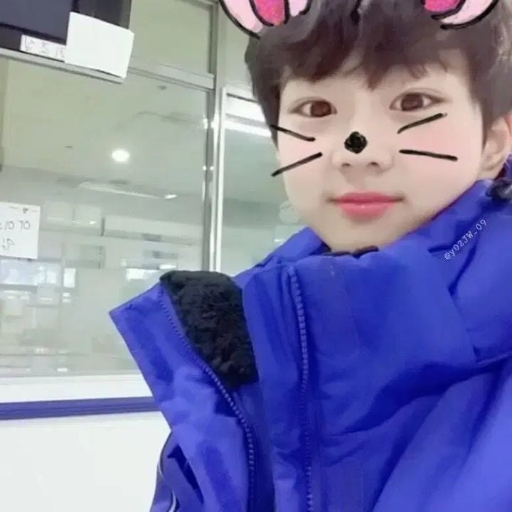 데이드림 재팬 니키 폴라 포카 일괄 양도