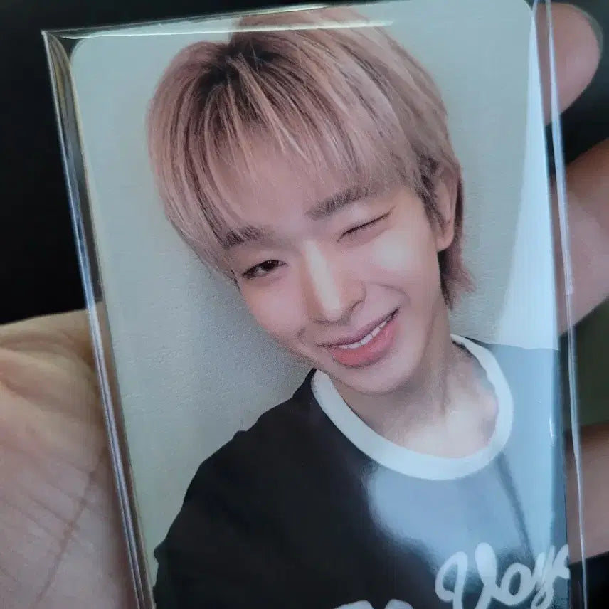 넥스지 쇼챔피언 쇼챔 공방 포카 양도해요