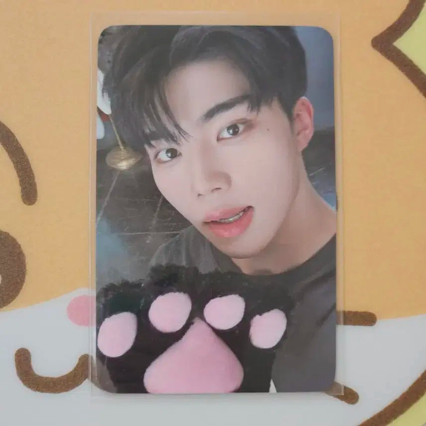 제베원 박건욱 제로즈존 3일차 포카 양도