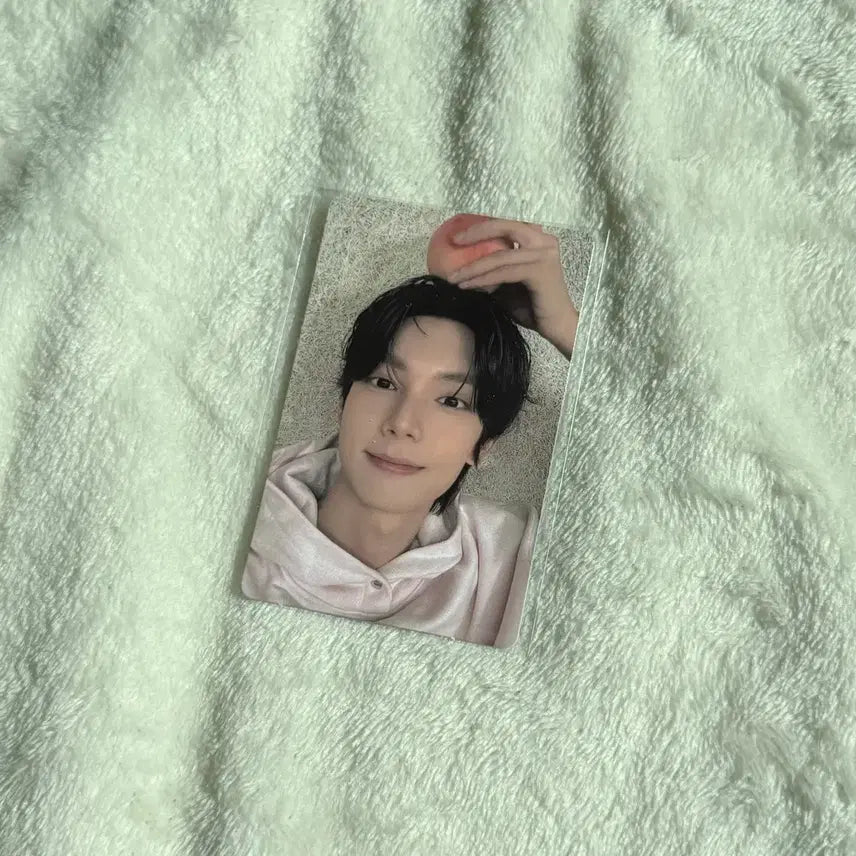 최립우 포토카드 복숭아 보2플 전시회