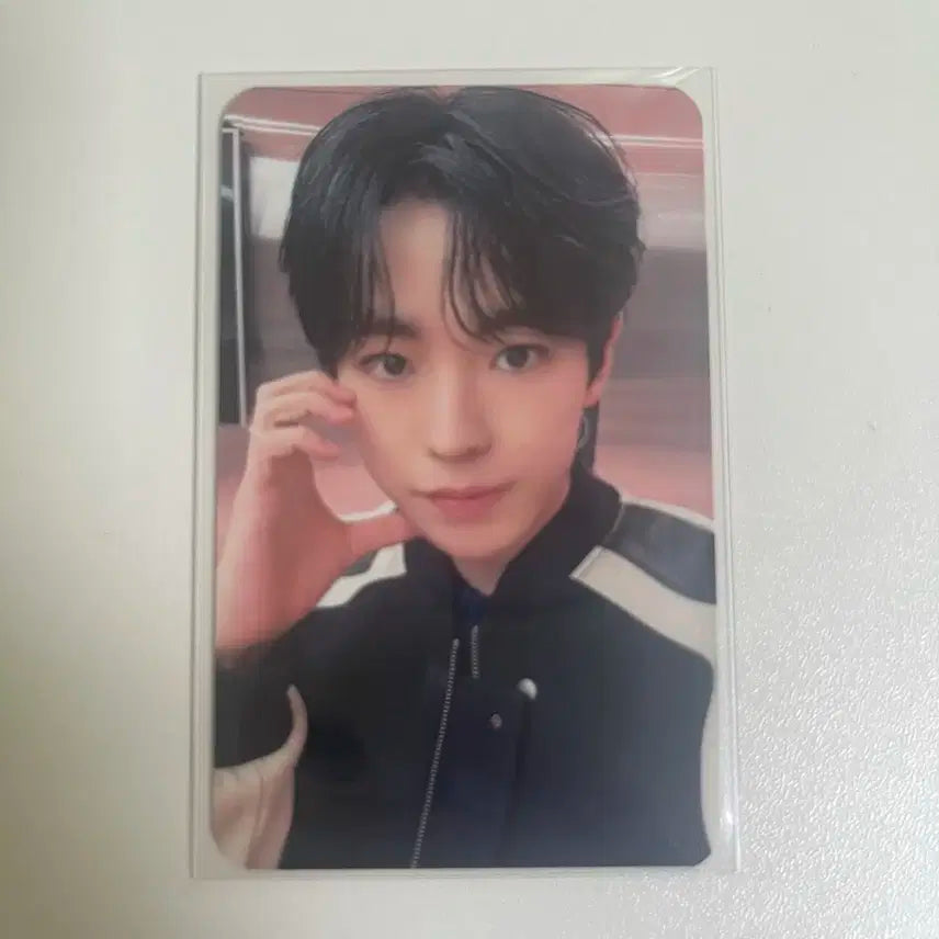 엔시티 위시 유우시 인터아시아 포카 양도