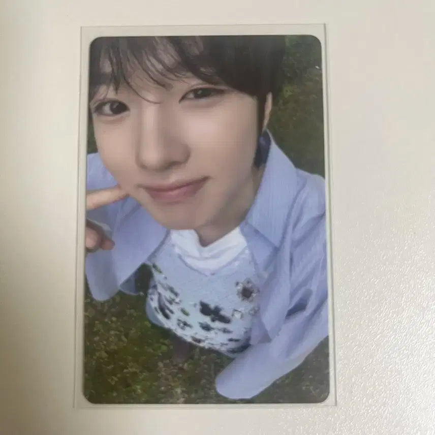 사쿠야 디아이콘 포카 양도