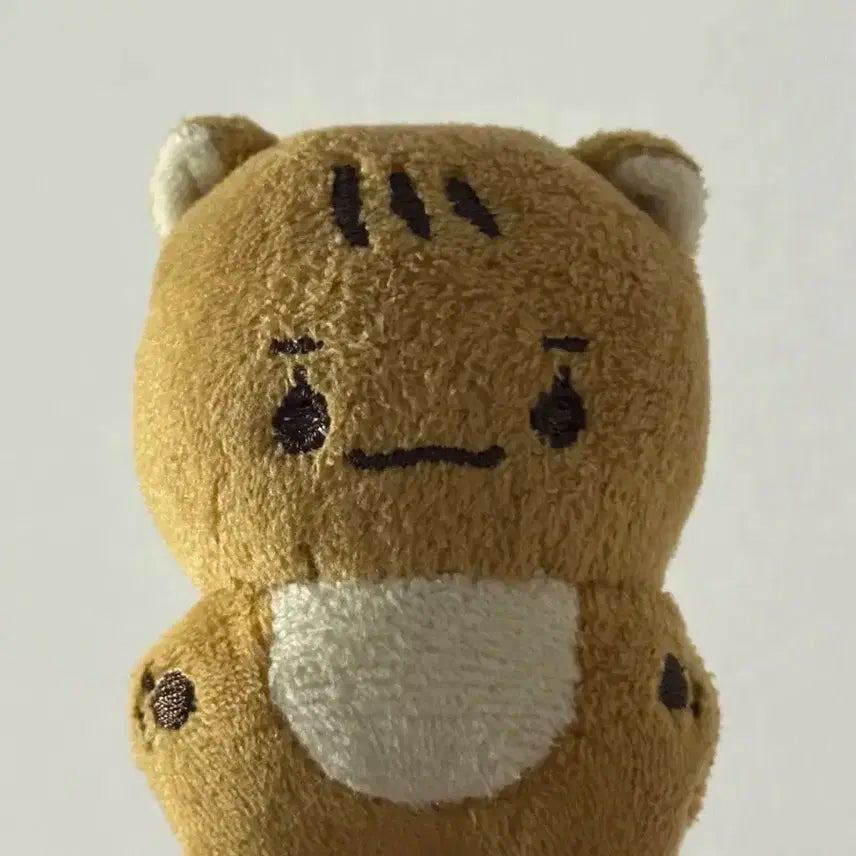 에이티즈 홍중 쭝쭝이 양도