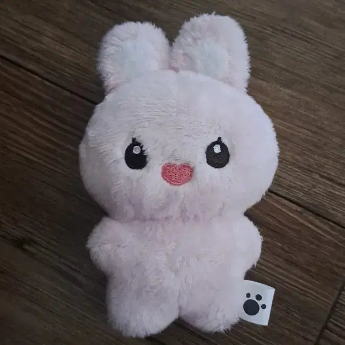 한유진 토끼 인형