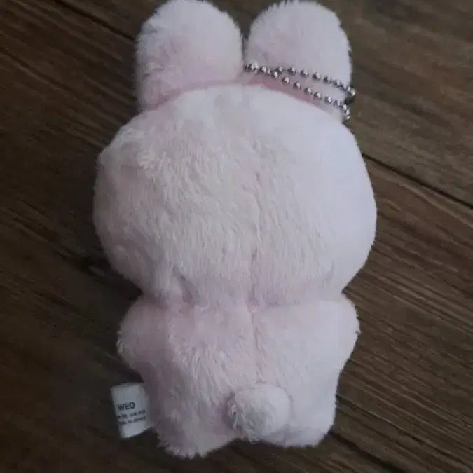 한유진 토끼 인형