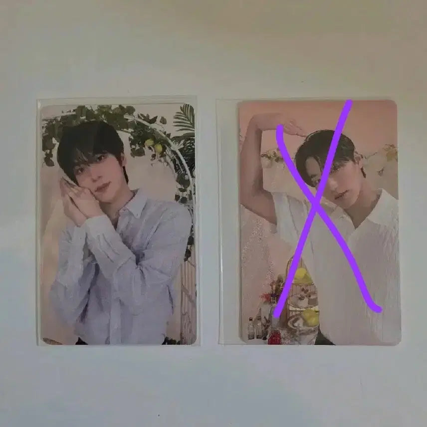 마이티즈 에이티즈 팝업 - 5만원 포카 윤호 & 최산 버전