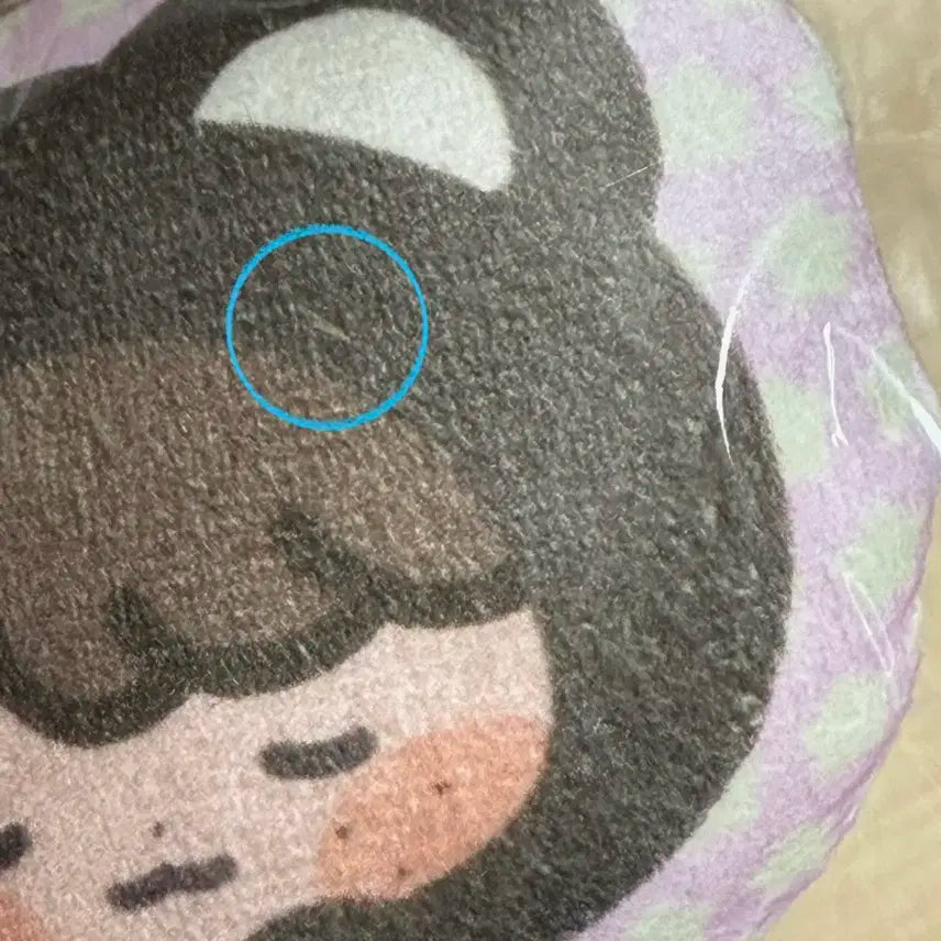 엔시티 해찬 풀썸머 푸데데효기 쿠션키링