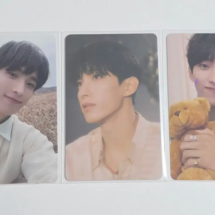 세븐틴 도겸 페더썬 위버스앨범 포카 양도