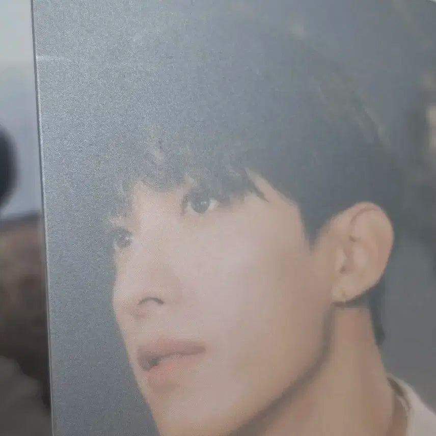 세븐틴 도겸 페더썬 위버스앨범 포카 양도