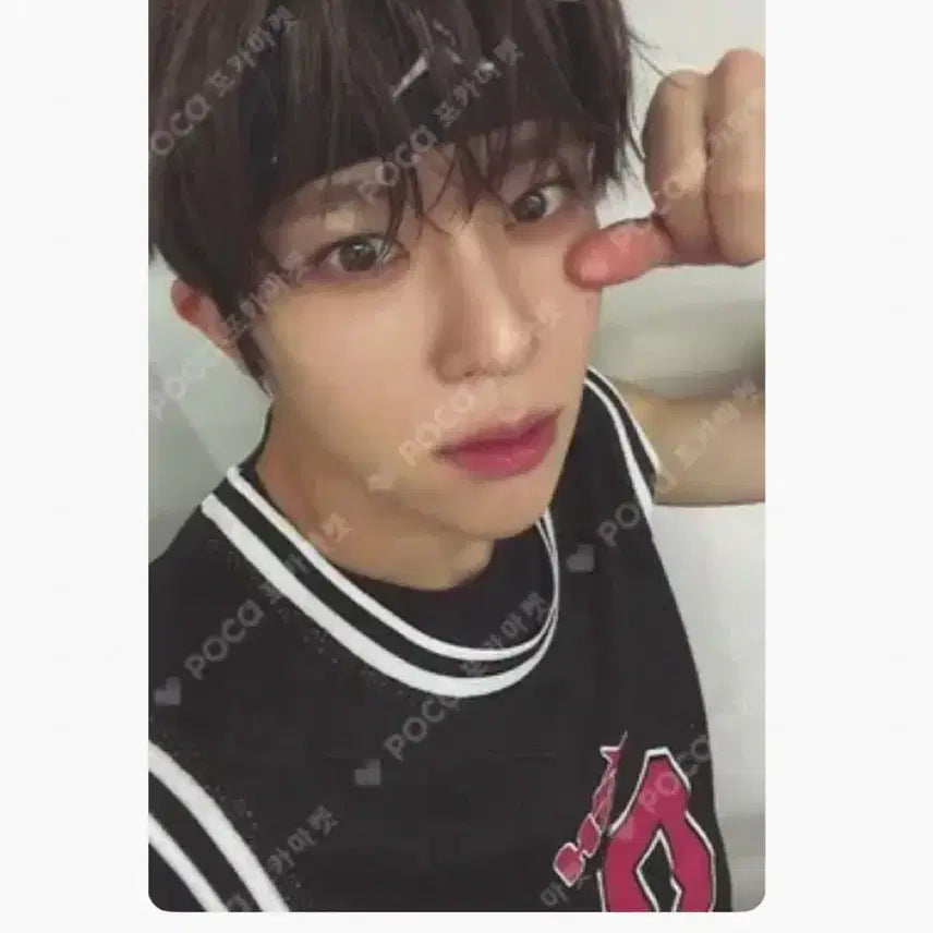 급처)엔시티위시 시온 미공포 앨포 안경 포카 양도