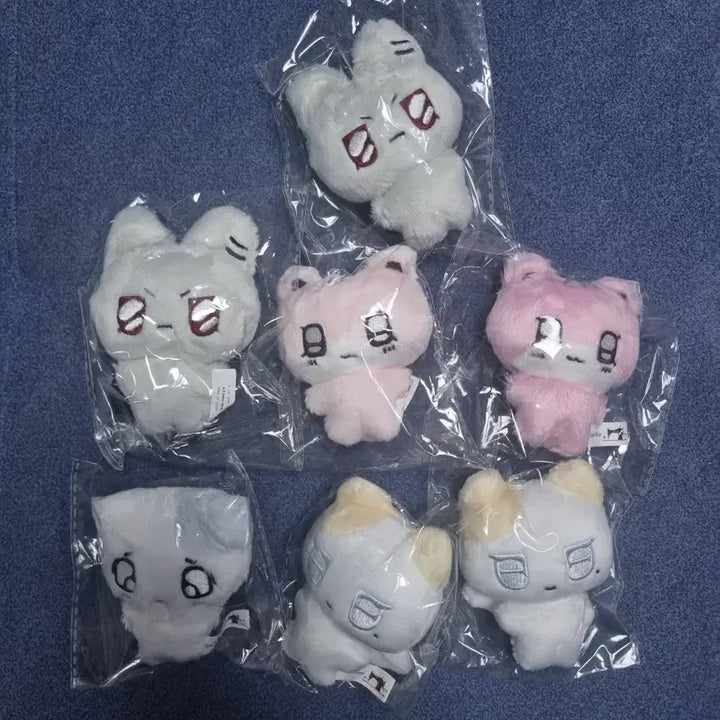 플레이브 인형 예준 노아 밤비 은호 하민 원가 이하