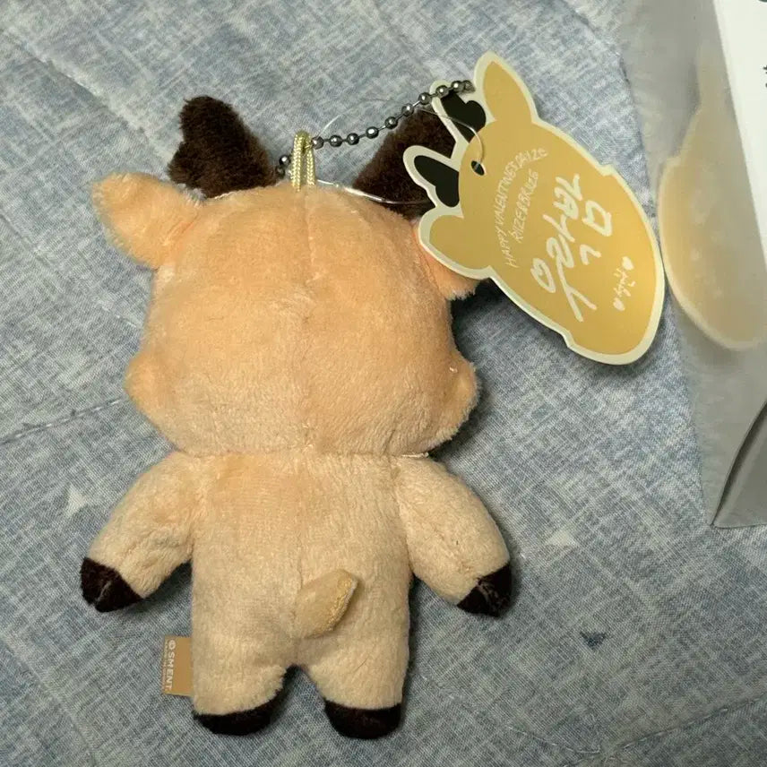 라이즈 1기 우락밤 성찬