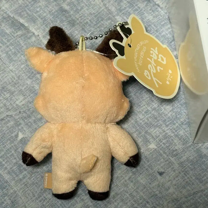 라이즈 1기 우락밤 성찬