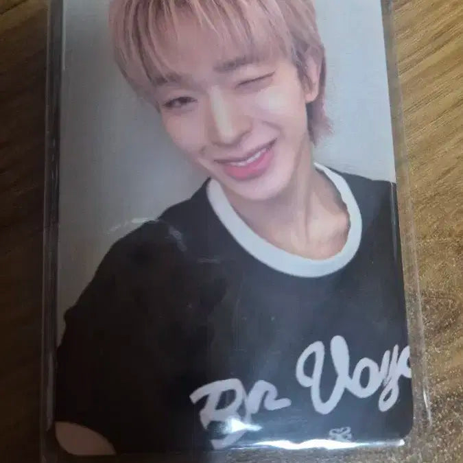 넥스지 쇼챔피언 쇼챔 공방 포카 세트 포토카드 양도해요