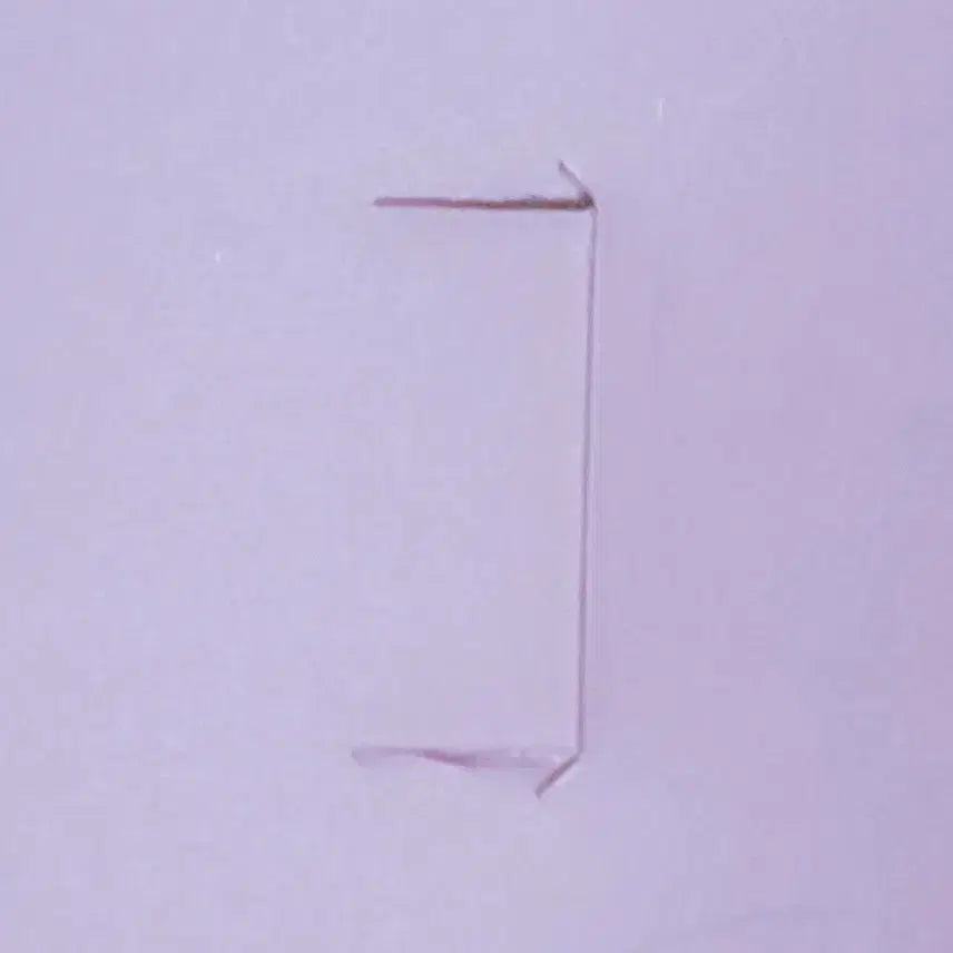 플레이브 십카페 노아 생일 케이크 박스 노아의 헬스장