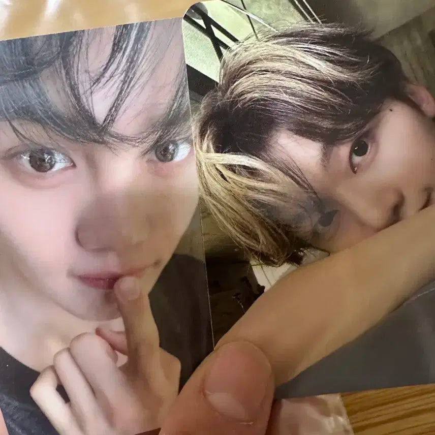 제베원 네버세이네버 규빈 매튜 포카 일괄