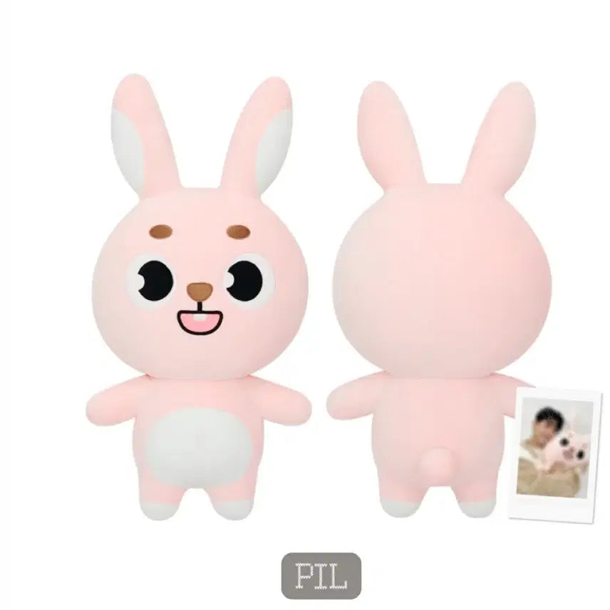 데이식스 데니멀즈 자이언트 필끼 자멀필 미개봉