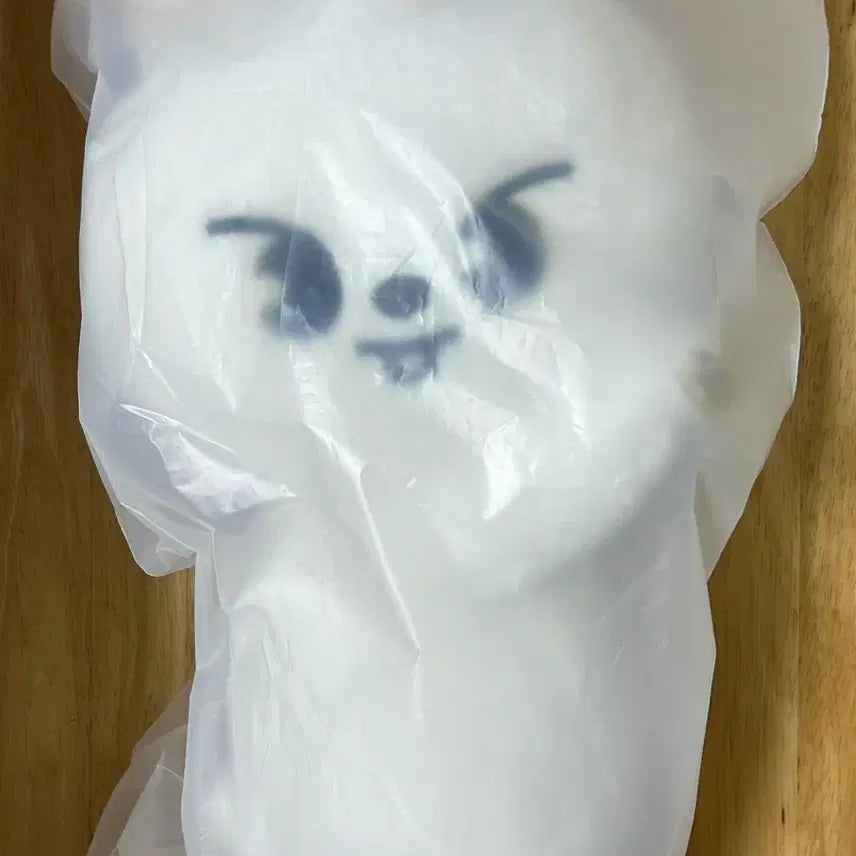 스키주 리빗 플러시백 새상품 포카포함