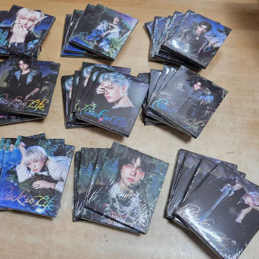 현물) 앤팀 미개봉 앨범 백투라 roar버전 멤버선택가능